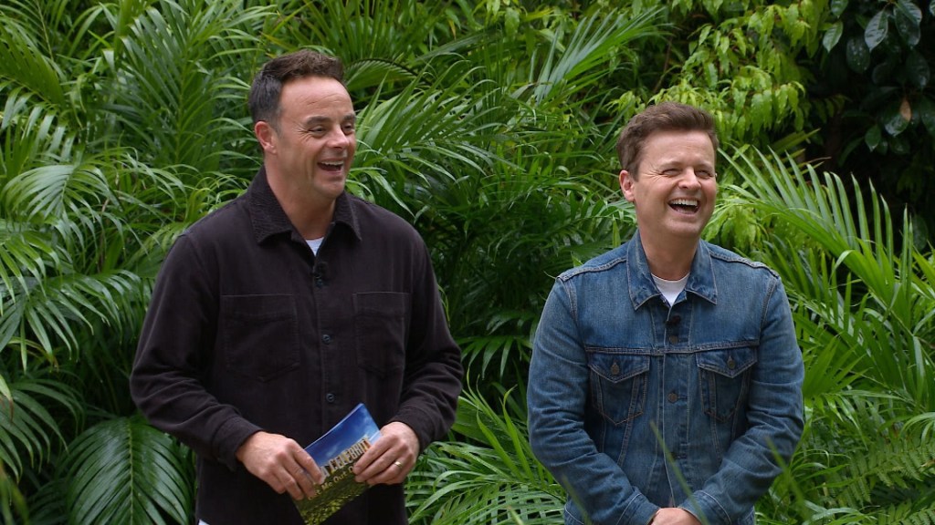 Ant and Dec hosting I'm A Celebrity... Get Me Out Of Here!