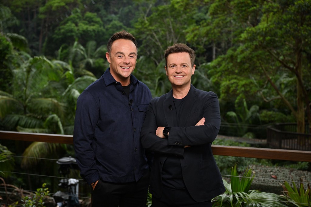 Ant and Dec on I'm A Celebrity 