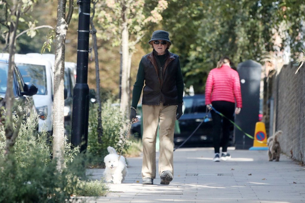 Popstar Mick Hucknall 63, goes under wraps hiding iconic mane of red hair on rare outing while walking his dog in North London