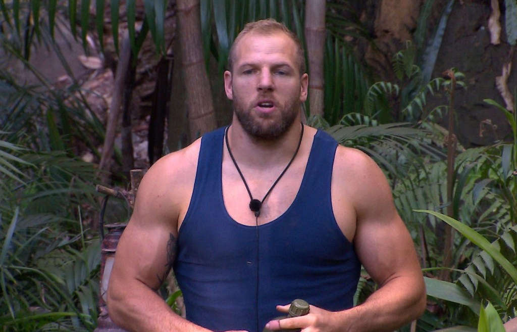 James Haskell on I'm A Celebrity