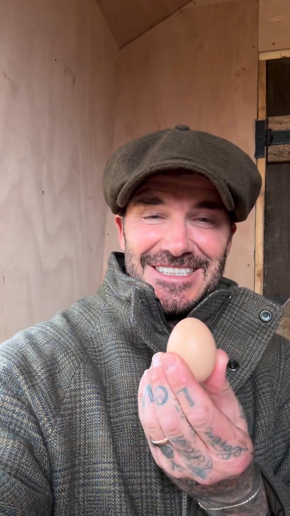 David Beckham back home for the first time to find an egg from his chickens ( has missed the others)