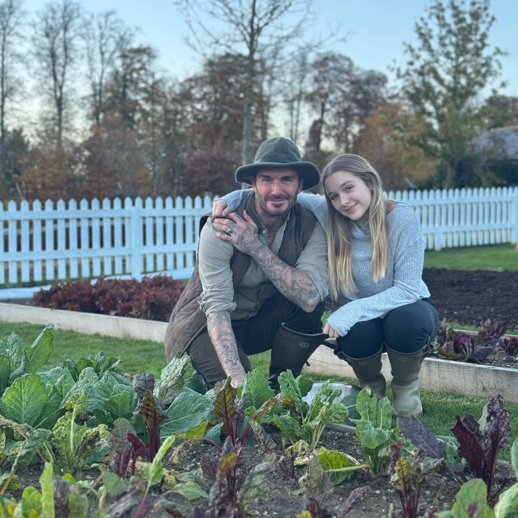 David Beckham and Harper Beckham posing in a vegetable patch behind some leafy green plants